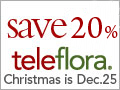 Teleflora_xmas_logo_88000000000201191