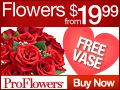Flowers from $19.99
