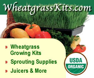 wheatgrass growing kit