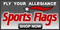 Baseball's BACK! Get MLB mini-pennants today!