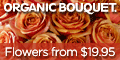 NOW-For The Holidays! SAVE 15% Sitewide! OrganicBouquet.com! Good Thru 12/16! Click Here!